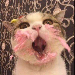 Meet your Posher, Bg